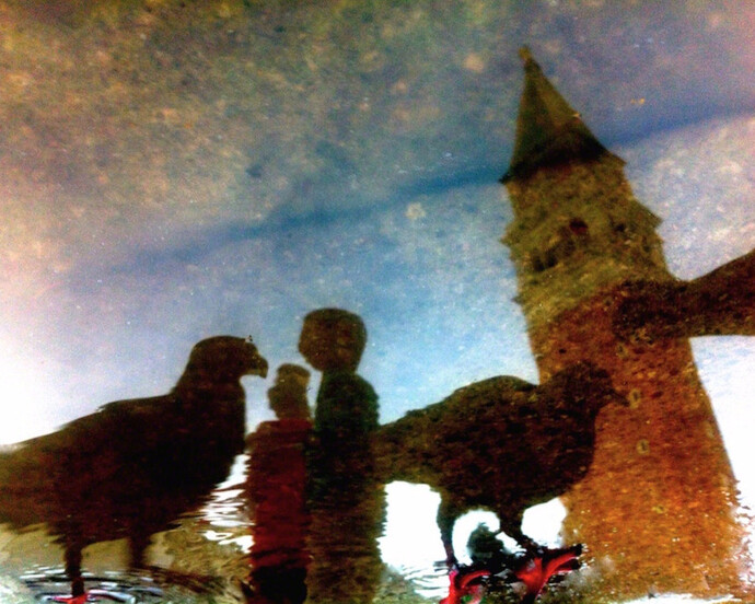 Death of Venice. Courtesy of Soho Photo Gallery