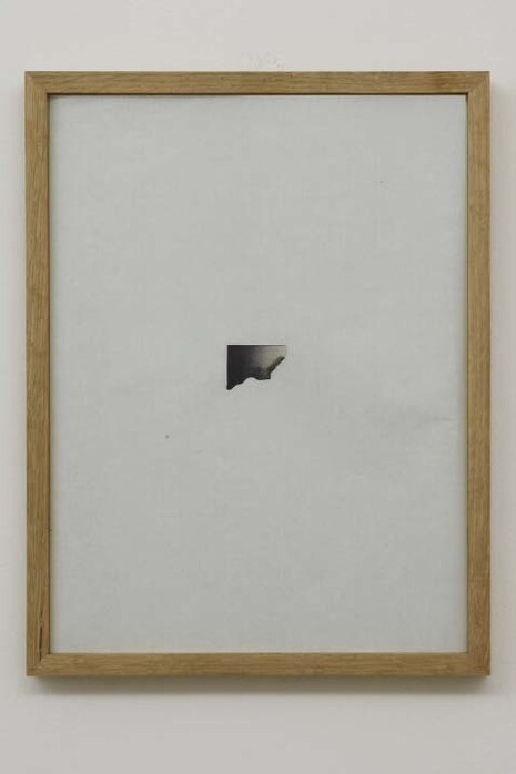 Sophie Ko Chkheidze, Waldgänger, 2013, 37 x 28 cm