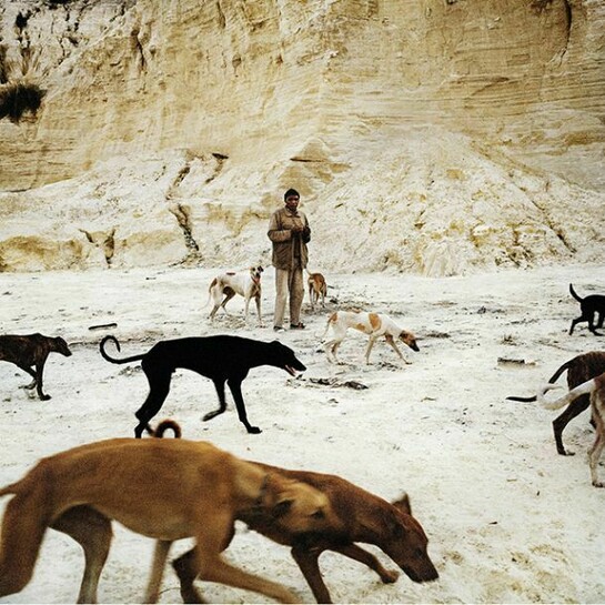 Daniel and the Hunting Dogs, 2012 Archival pigment print, 45 x 45cm, © Jason Larkin, courtesy of Flowers Gallery