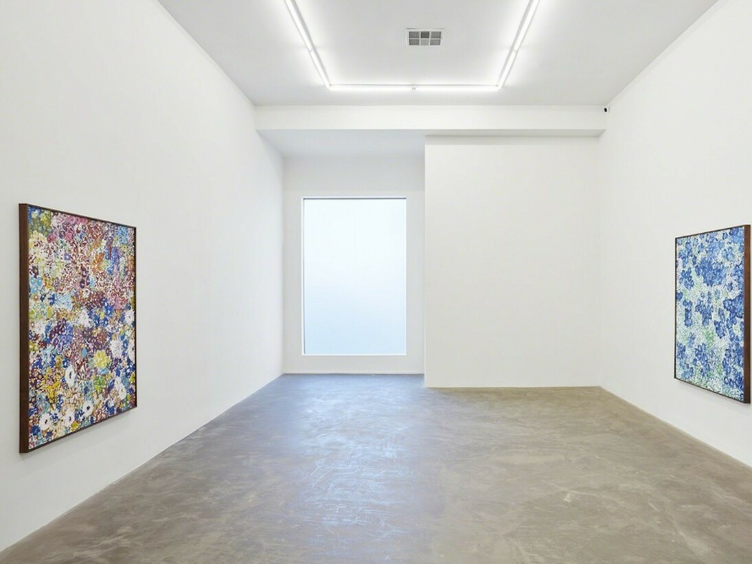 Montana Wildflowers. Courtesy of Praz-Delavallade