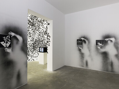 Carlos Amorales. Courtesy of MUAC