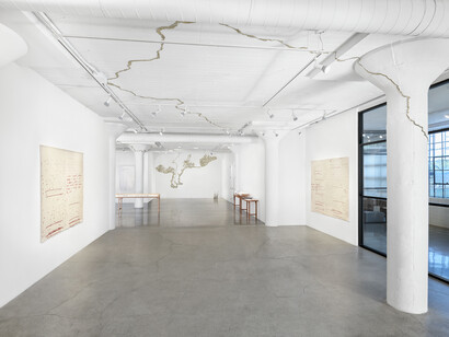 Jen Bervin, Source, installation view, photo by John Janca. Courtesy of the artist and Catharine Clark Gallery