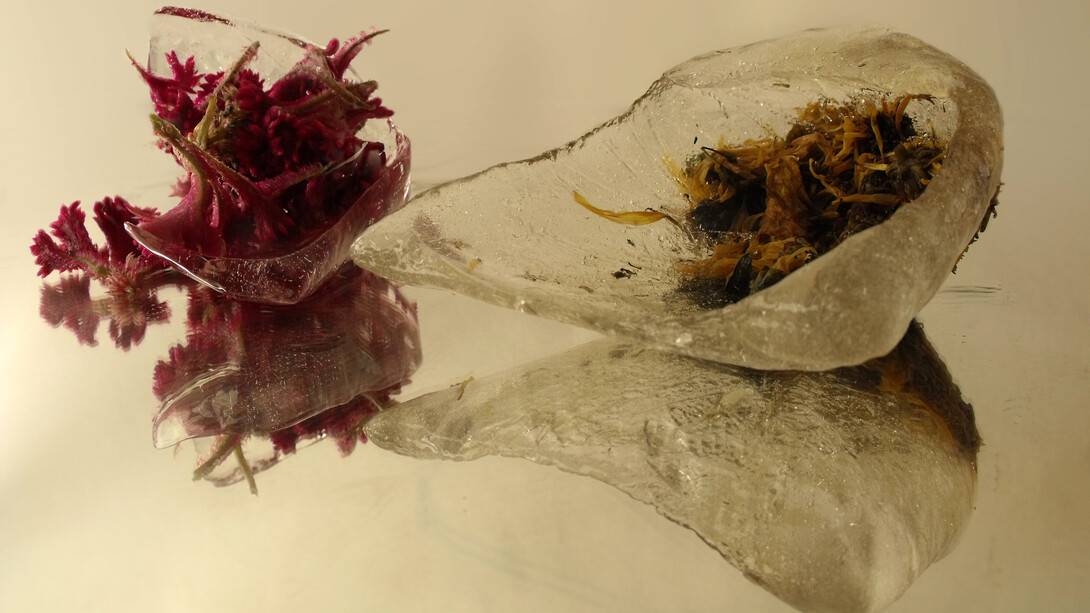 Performance «Lágrimas de renacimiento» de Illimani de los Andes