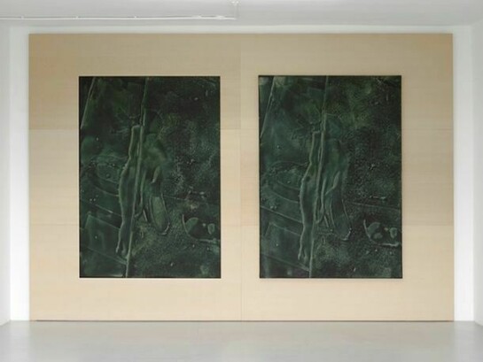 Daniel Lefcourt, Cast, Installation view, 13 February – 22 March 2014, Campoli Presti, London, Courtesy of Campoli Presti, London / Paris