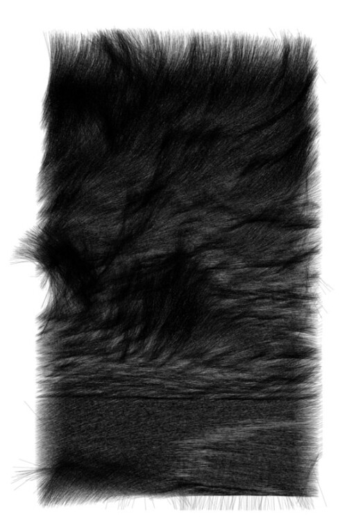Algorithmic Visions. Courtesy of Denise Bibro Fine Art