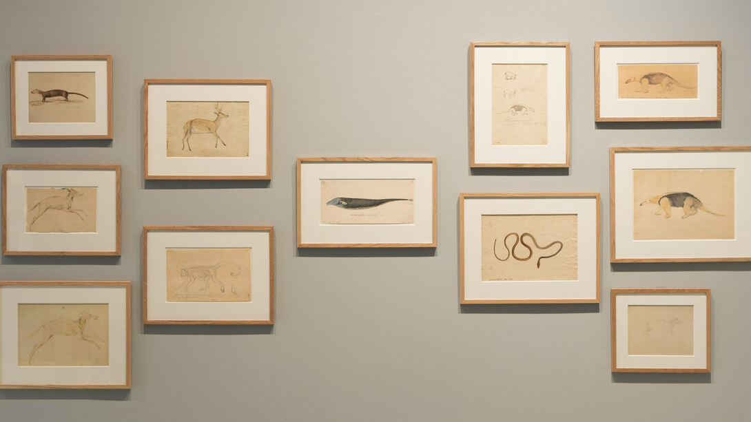 Hercule Florence, Exhibition view. Courtesy of Nouveau Musée National de Monaco