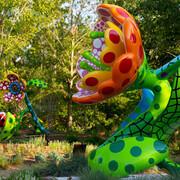 Yayoi Kusama, Flowers, exhibition view. Courtesy of Crystal Bridges Museum of American Art