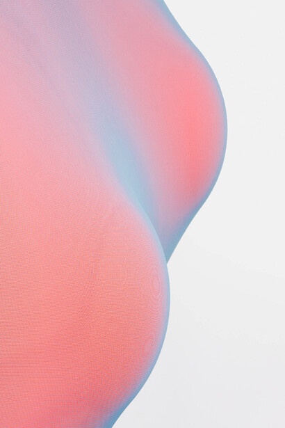 Edoardo Modenese, Capsule, S, 2019, particolare