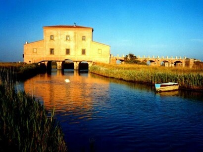 Feng Shui literally means wind and water