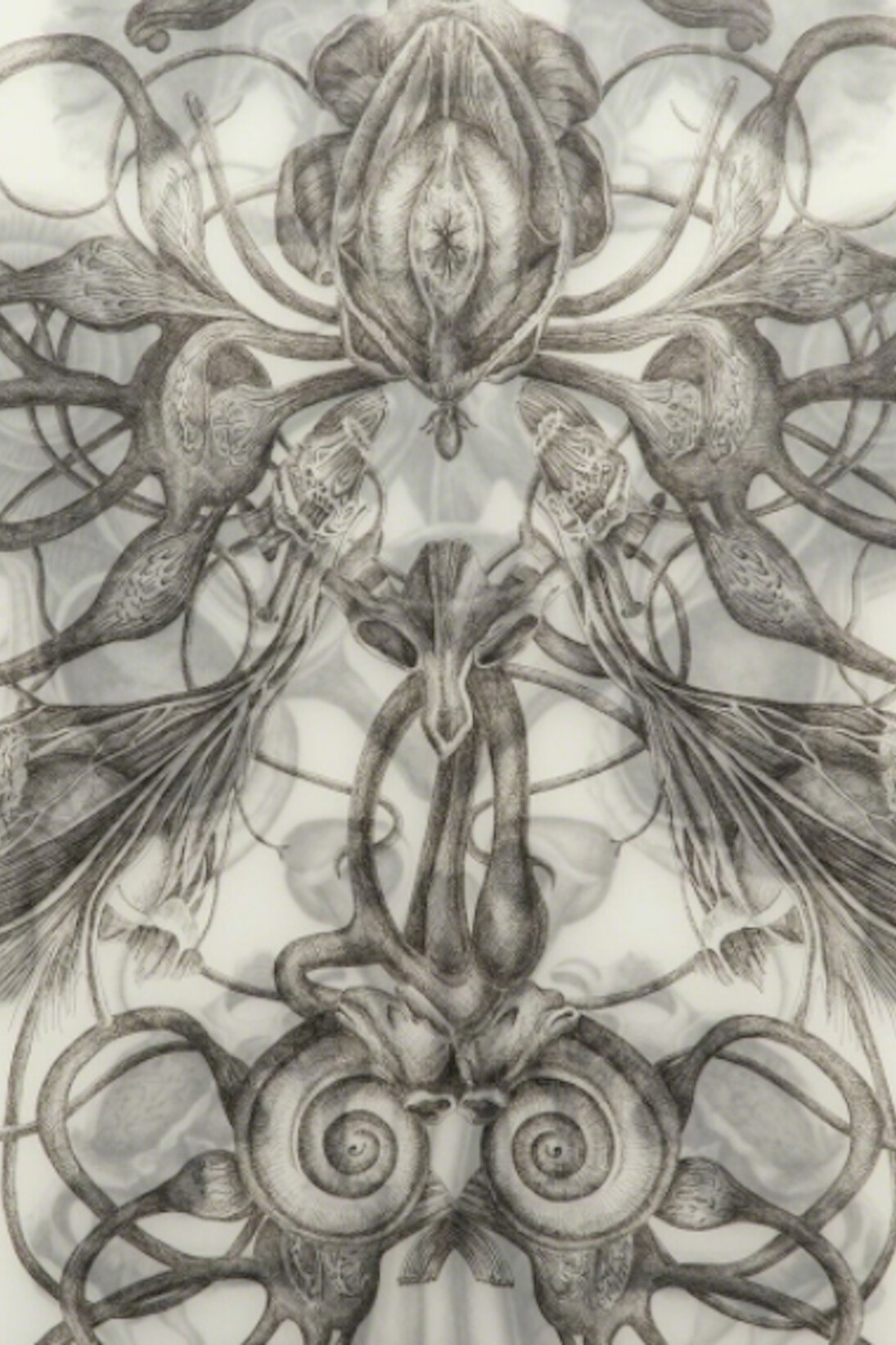 The Afterlife of Rosy Leavers. Courtesy of Blindspot Gallery