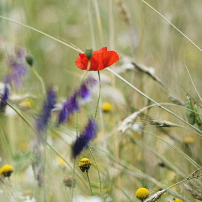 Dove c’è cultura, c’è possibilità di riscatto: è il luogo dove il dolore si trasforma in memoria e la memoria in speranza