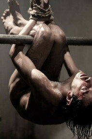 La torture, une pratique répandue dans le monde entier, est l'un des chapitres les plus sombres de l'histoire de l'humanité