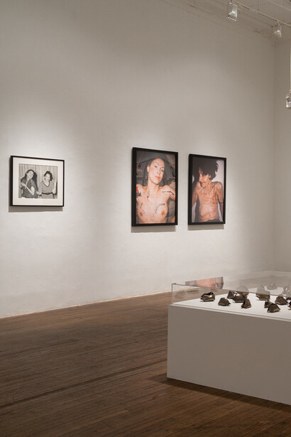 Force of Nature. Courtesy of Ronald Feldman Gallery