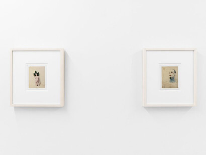 Dietmar Busse, My life as a flower, exhibition view. Courtesy of Clamp 