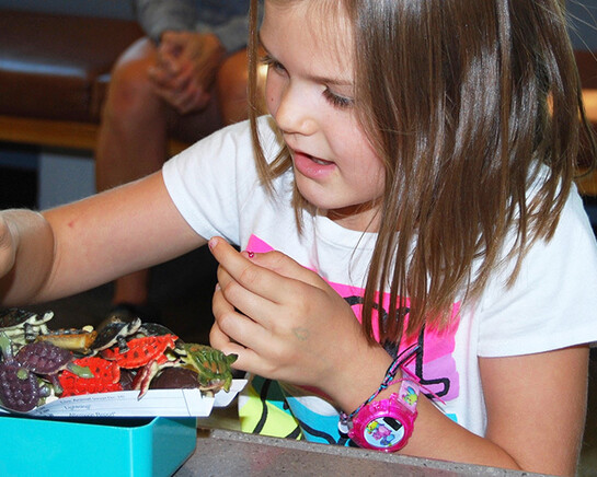 Discovery Center. Courtesy of Museum of Science