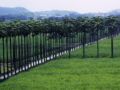 Venezuela, Hacienda Santa Teresa