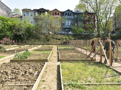 Kuzguncuk bostan (market garden), food production by city famlies, Istanbul, Turkey © Ashish Kothari