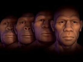 Human Evolution