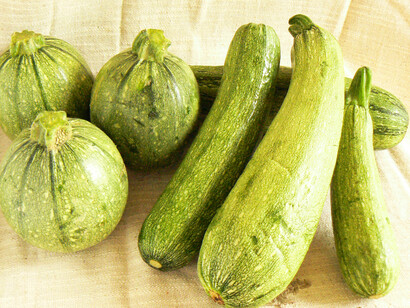 Zucchine lunghe e tonde
