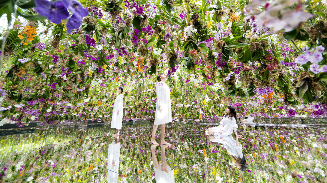 Floating Flower Garden; Flowers and I are of the Same Root, the Garden and I are One © teamLab Planets Tokyo