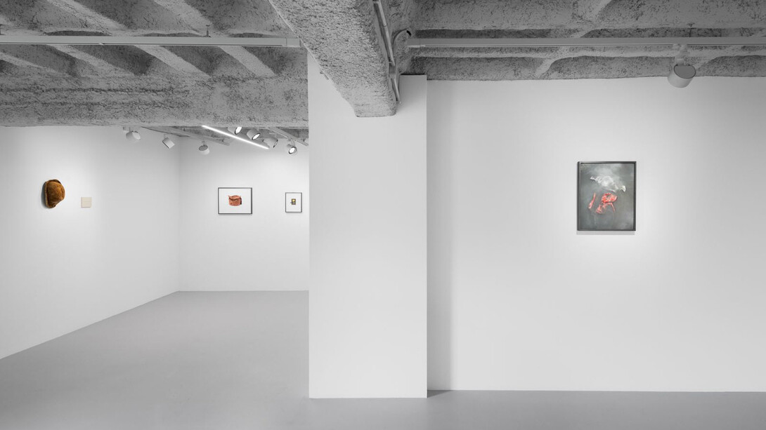 Anca Munteanu Rimnic, Treatise on Bruises, ausstellungsansicht. Mit freundlicher genehmigung der Galerie Plan B