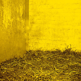 Jonathan Calm, Detail of "Deer Chamber 3", 2013 archival pigment print 16 x 100 inches Edition of 5. Courtesy of LMAKprojects, NY