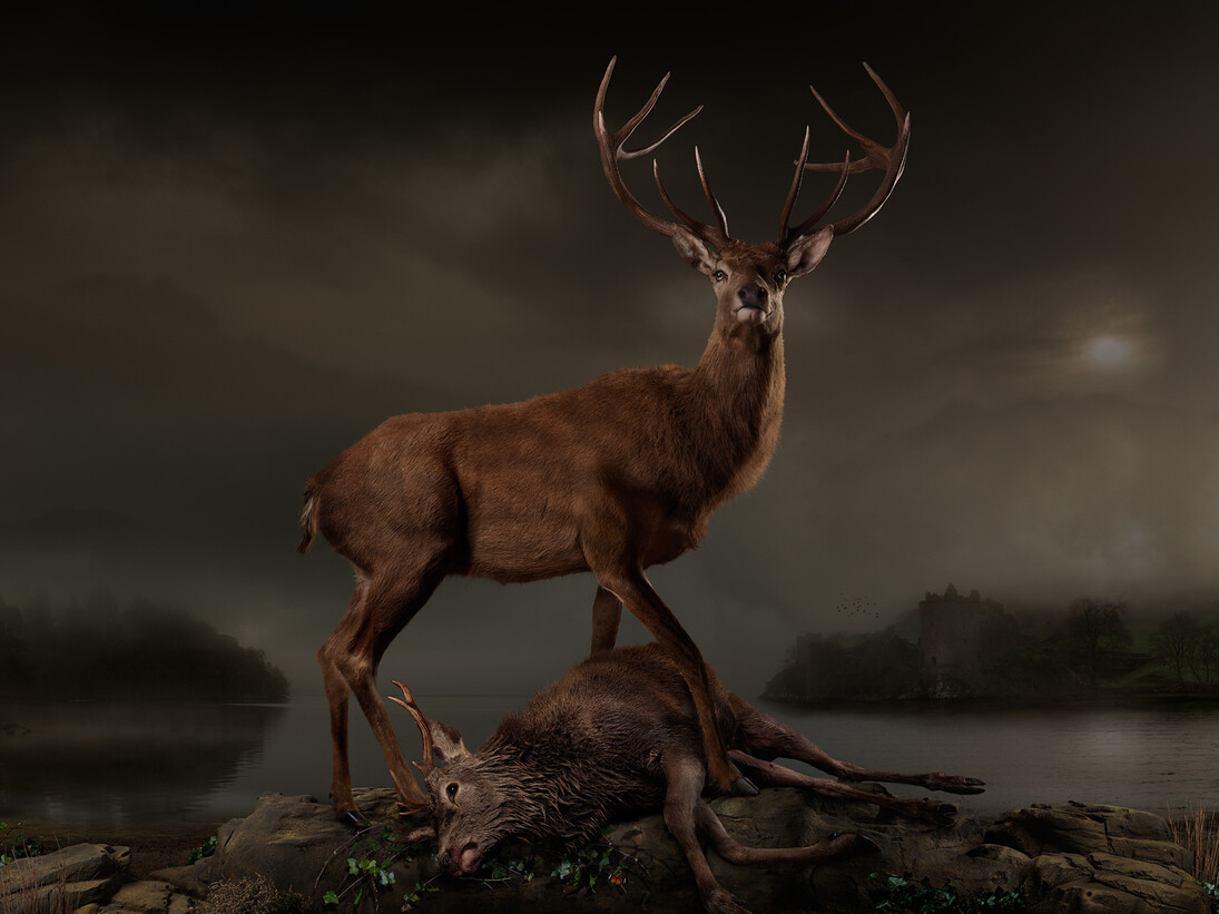 Joseph McGlennon, Skyestag 3