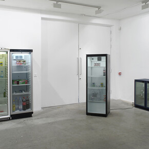 Gili Tal, Vilma Gold, 2015, installation view, courtesy Vilma Gold, London