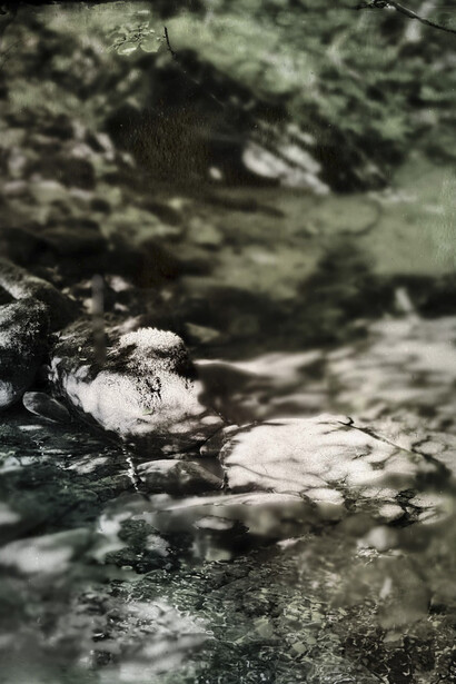 Cécile Wick, leise melodie (detail), 2025. Courtesy of Museum Franz Gertsch