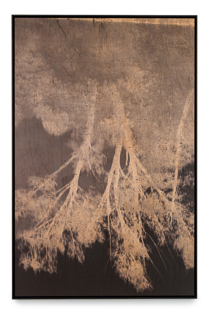 Clifford Ross
Untitled, 2019
Cured inkjet on wood
72 x 46 inches (182.9 x 116.8 cm)