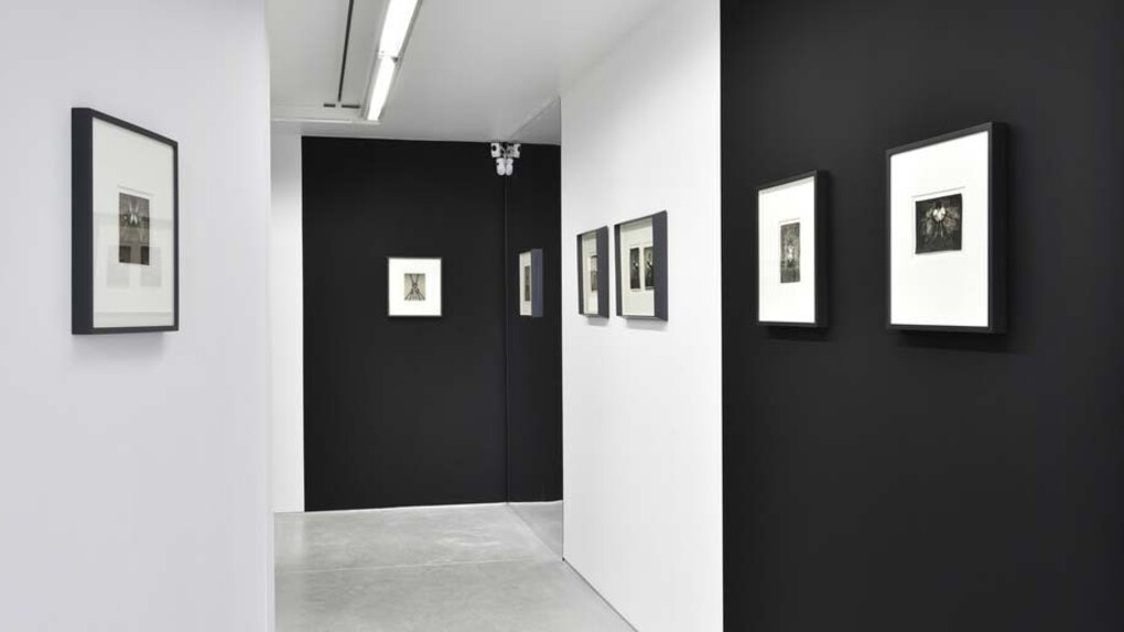 Vertigo. Courtesy of Galerie Christophe Gaillard