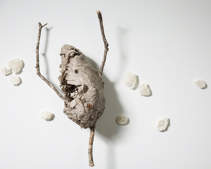 Fire and Peace. Courtesy of Jen Mauldin Gallery 