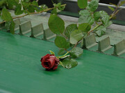 Éric Baudelaire, This flower in my mouth (still), 2021. Mit freundlicher Genehmigung der Hamburger Kunsthalle