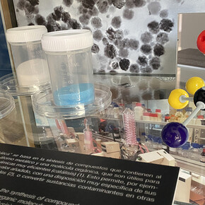 Somos CSIC, vista de exhibición. Cortesía de Casa de la Ciencia