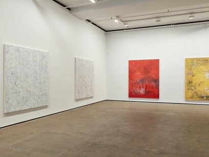 Hugo McCloud, Veiled, Exhbition view. Courtesy of Sean Kelly Gallery