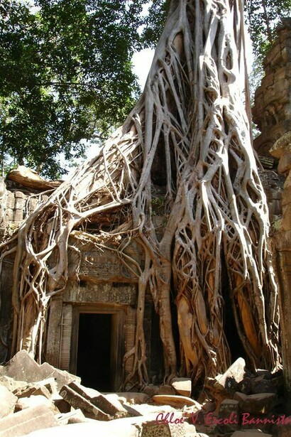 Angkor Wat. Cambodia