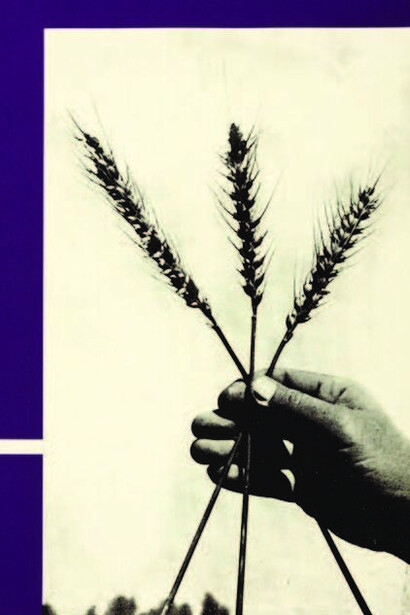 Dawit L. Petros, Recollections (contrasting notions), Battalion 14, 2024. Courtesy of Museum of Contemporary Photography													