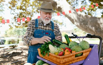 An elderly man wearing denim overalls and a hat, examining fresh vegetables