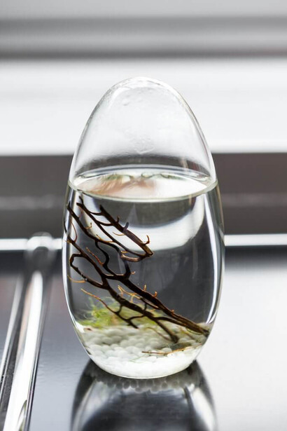 Julia Tcharfas. Courtesy of Swiss Institute 