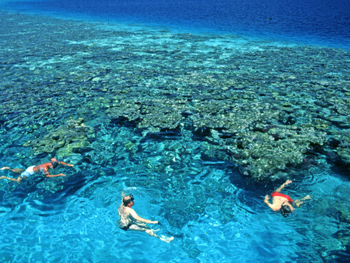 Belize Barrier Reef