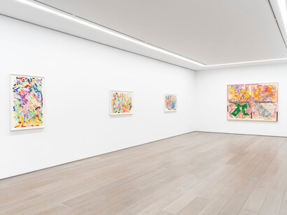 Nancy Graves, Moonwater, exhibition view. Courtesy of Galleries Perrotin