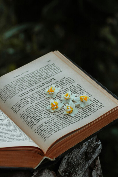 Un libro abierto sobre un tronco adornado con flores