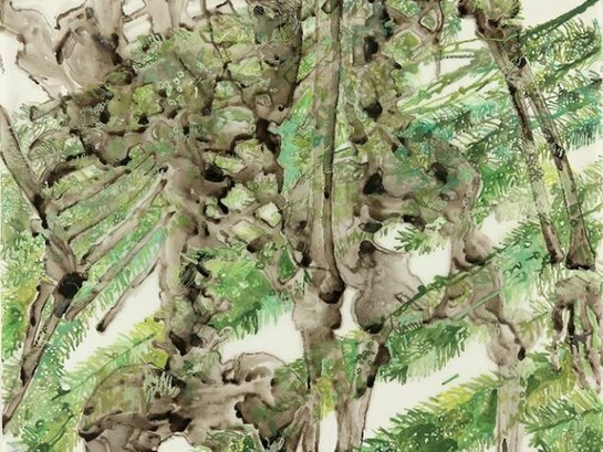 Katina Huston, Evergreen, 2013 I Ink on mylar I 36 x 42 inches