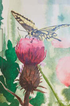 Loophole. Courtesy of Naturhistorisches Museum Basel