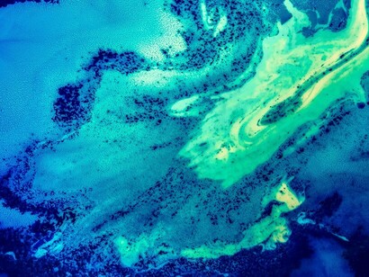 La naturaleza de qualia no puede explicarse científicamente ya sea como un fenómeno neural, informativo, químico o físico