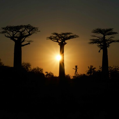 Inevitabilmente quando nasciamo, ci portiamo dietro influenze familiari