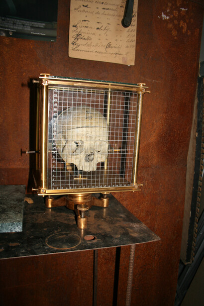 Skull in a cage