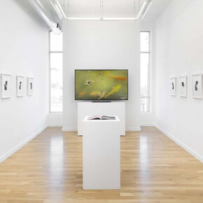 Ella Weber, A lazy love, exhibition view. Courtesy of Western Exhibitions