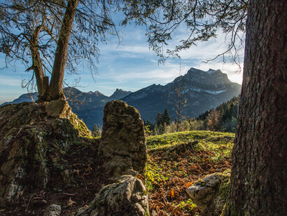 Calling us home, ph. M. Stillwater
