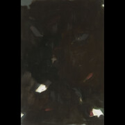 Raoul De Keyser. Courtesy of S.M.A.K